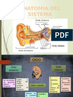 Anatomia Del Oido Interno