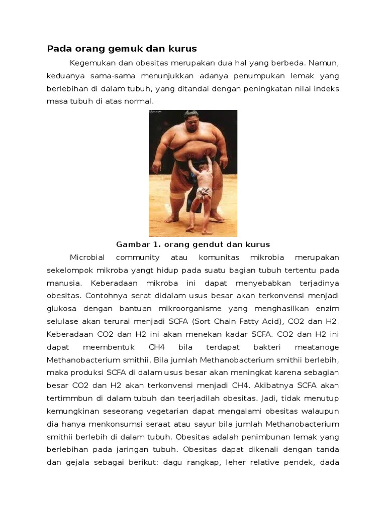 Pada Orang Gemuk Dan Kurus | PDF
