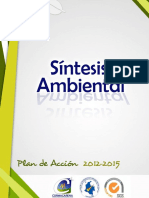 Cap II Sintesis Ambiental CORMACARENA