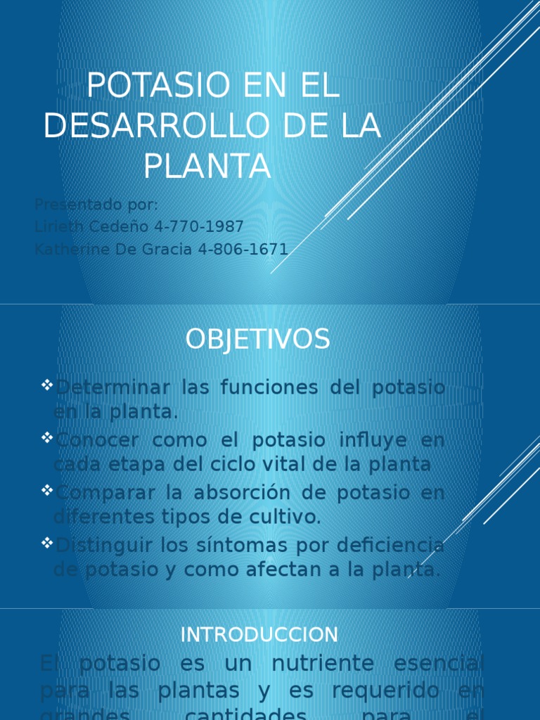 Potasio en El Desarrollo de La Planta | PDF | Potasio | Dieta y nutrición