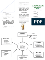 triptico de Mochica.doc