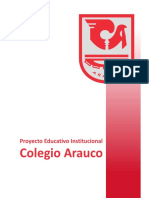 PEI Colegio Arauco