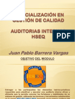 Auditorías HSEQ v. 2015