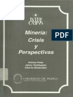 Mineria Crisis y Perspectivas