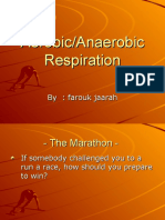 Aerobicanaerobicrespiration 121105082231 Phpapp01 (1)