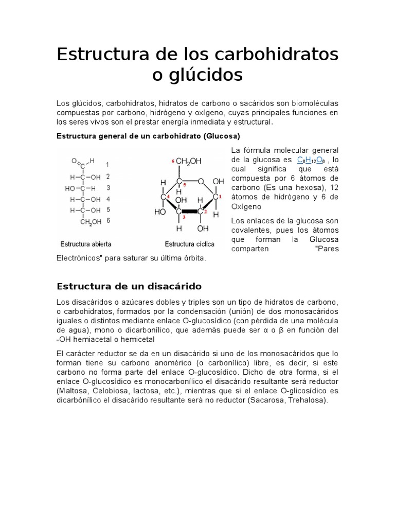 Estructura de Los Carbohidratos o Glúcidos | PDF | Celulosa | Polisacárido