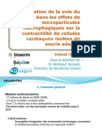 Présentation Oral de Stage M1 SIMS (2014)