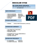 Curriculum Vitae Modelo