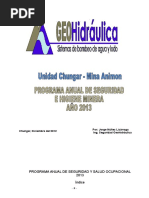 W-Programa Anual de SSOMAC 2013.doc