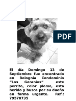 Perro Encontrado