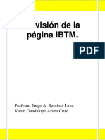 Reporte Sobre La Revision de La Pagina de Ibt1