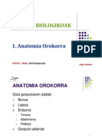 Anatomia Orokorra