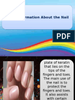 Structure of The Nail
