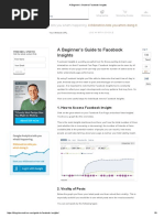 A Beginner's Guide To Facebook Insights PDF