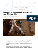 Remains of A Mammoth Uncovered Near Mexico City