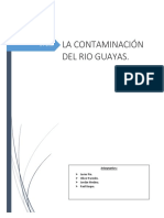 Contaminacion Del Rió Guayas