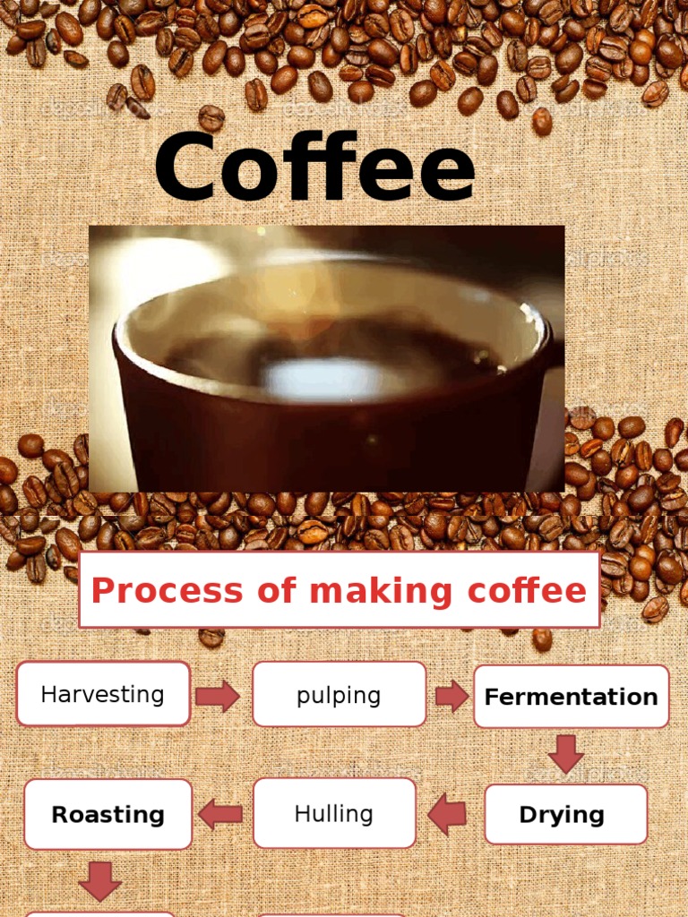 Coffee Production: From Bean to Cup | PDF