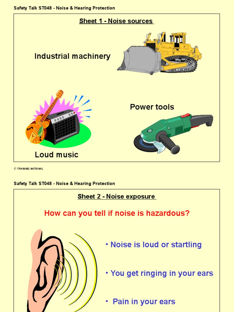Noise & Hearing Protection Guide | PDF | Wellness