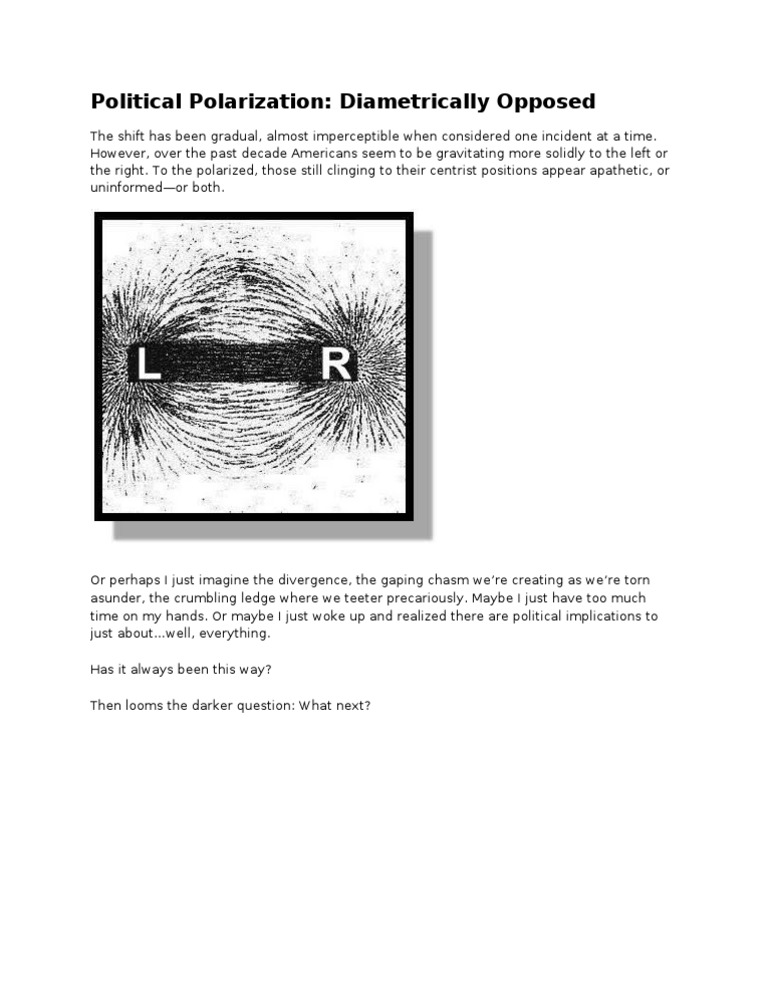 Political Polarization | PDF