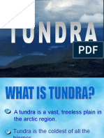 tundra-biome.ppt