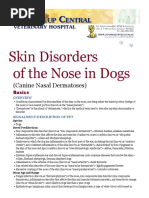 Skin Disorders of the Nose in Dogs