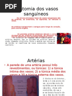 Anatomia_dos_vasos_sanguineos[1]