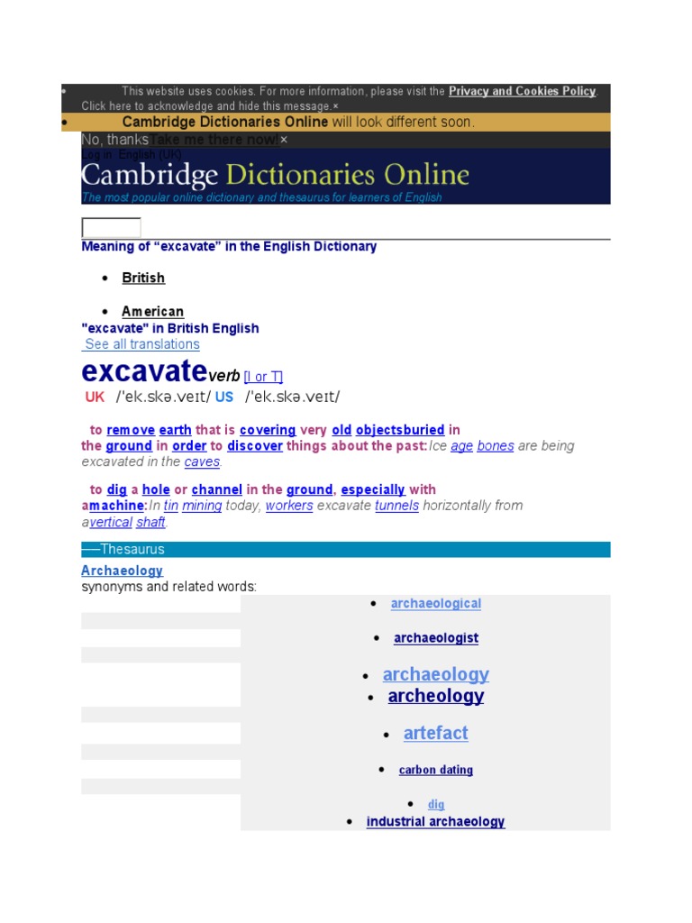 TIN  English meaning - Cambridge Dictionary