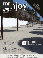 Download Enjoy Magazine June-July 2010 by Enjoy Magazine SN31730028 doc pdf
