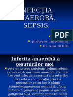Prezentatia Infectia Anaeroba. Sepsis (Slaid 58)
