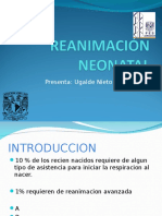 Reanimacion Neonatal y Valoración