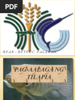 Isdang Malapad | PDF