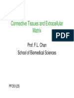 Connective Tissues and Extracellular Matrix 2014-9