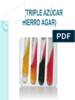 Tsi Triple Azcar Hierro Agar 