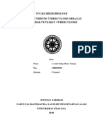 Makalah Mycobacterium Tuberculosis