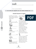 Lessico - Animali PDF