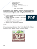 Ciclo biogeoquímico