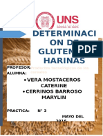 DETERMINACION DE GLUTEN EN HARINAS-practica3