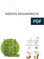 Riesgos Ergonomicos