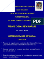 Somato- FISIOLOGIA