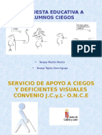 Discapacidad Visual - Pps