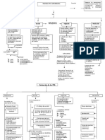 1er Esquema Conceptual