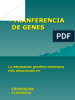 TRANSFERENCIAGENETICA.ppt