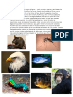 Animales y Su Visión