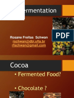 Cocoa Fermentation Process