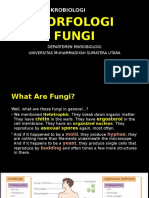 Microbiology - Fungi