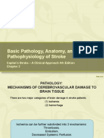 Slide Chapt 2-Basic Pathology and Anatomy