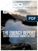 WWF EnergyVisionReport