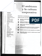 Cap. 3 Daft Ambiente y Cultura Corporativa