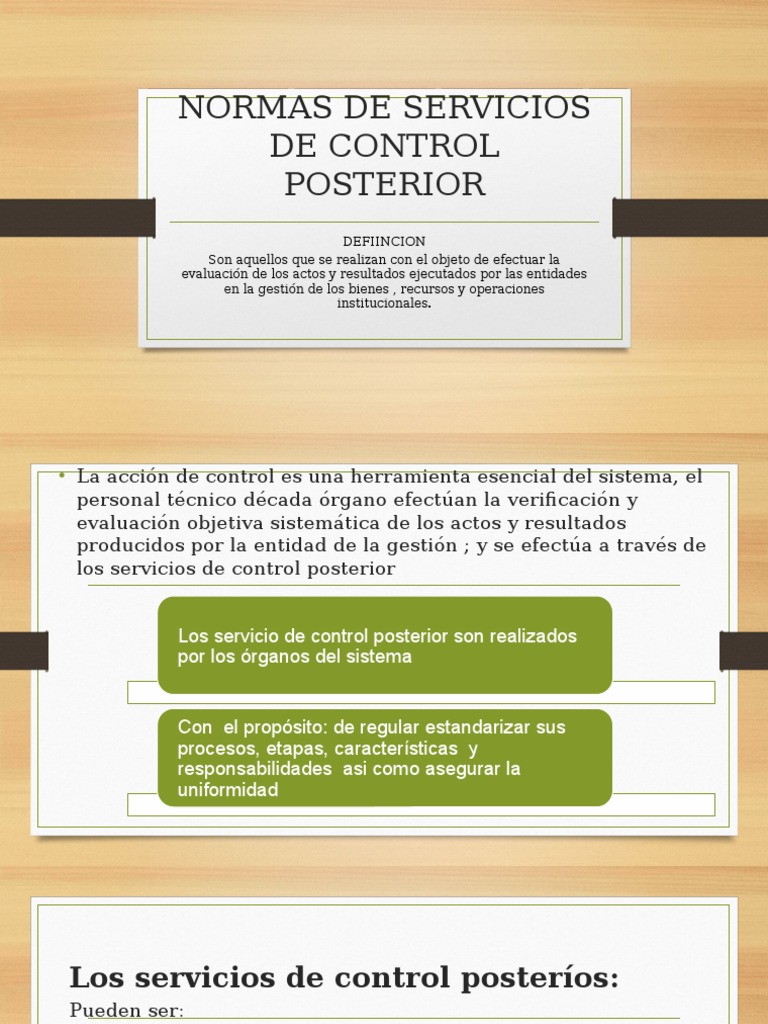 Normas de Servicios de Control Posterior | PDF