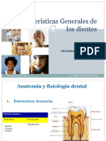 Estructura de Los Dientes (1)